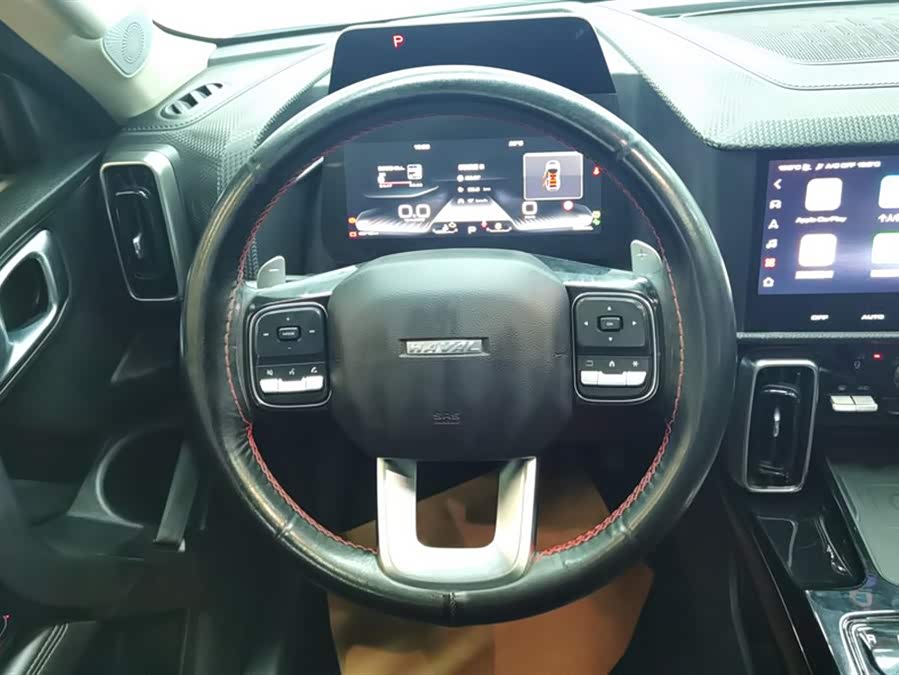 Haval X Dog / Dargo 2021 #16 Haval X Dog / Dargo 2021 car image #16