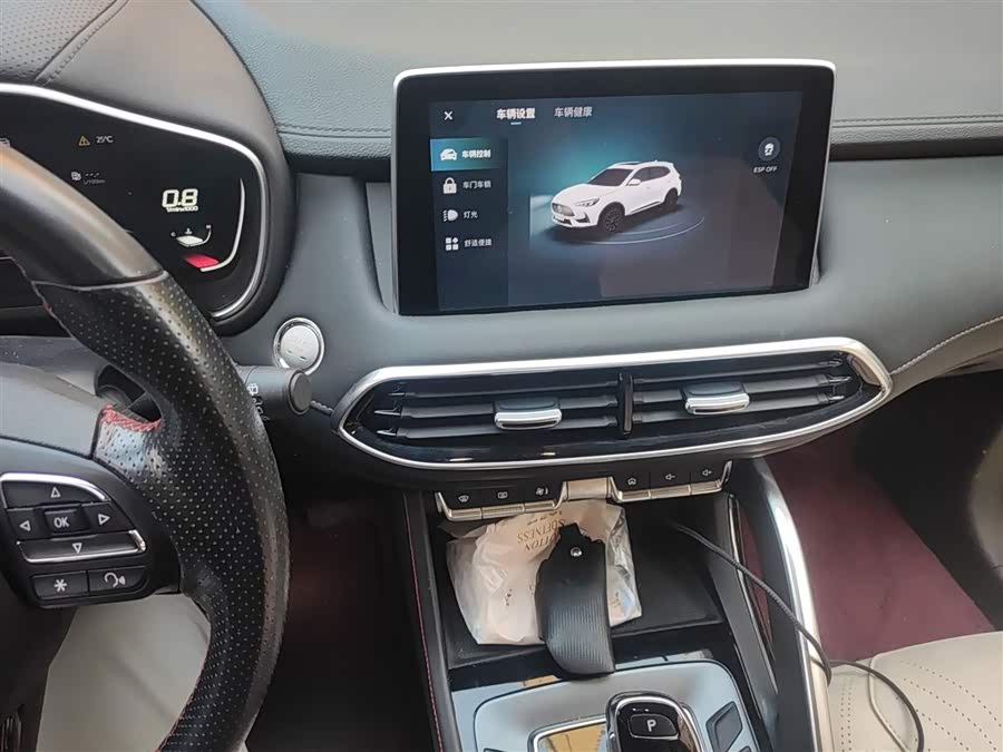 MG Pilot 2021 car image #16