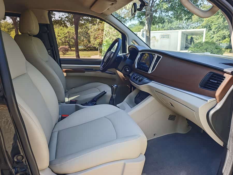 Forthing Lingzhi 2021 car image #16