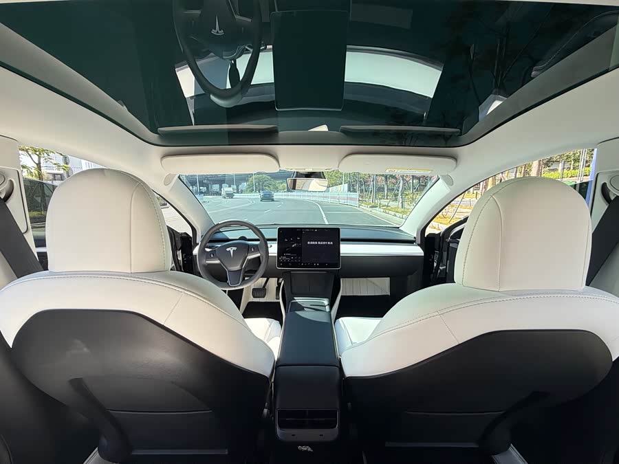 Tesla Model 3 2021 image de voiture #16