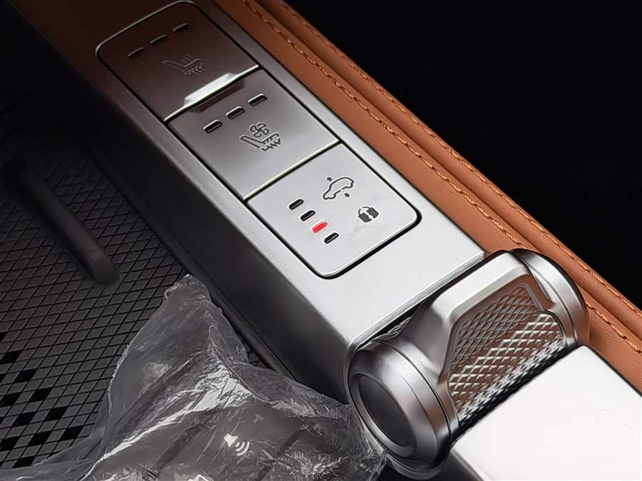 Tank 700 New Energy 2024 imagen de coche #16