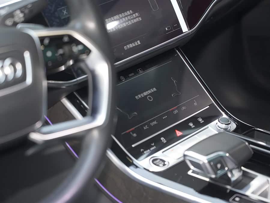 奥迪 奥迪A8 2021 汽车图片 #16