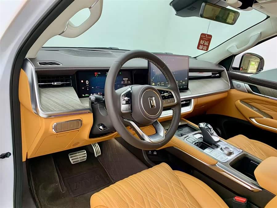 Tank 500 New Energy 2024 immagine di auto #16