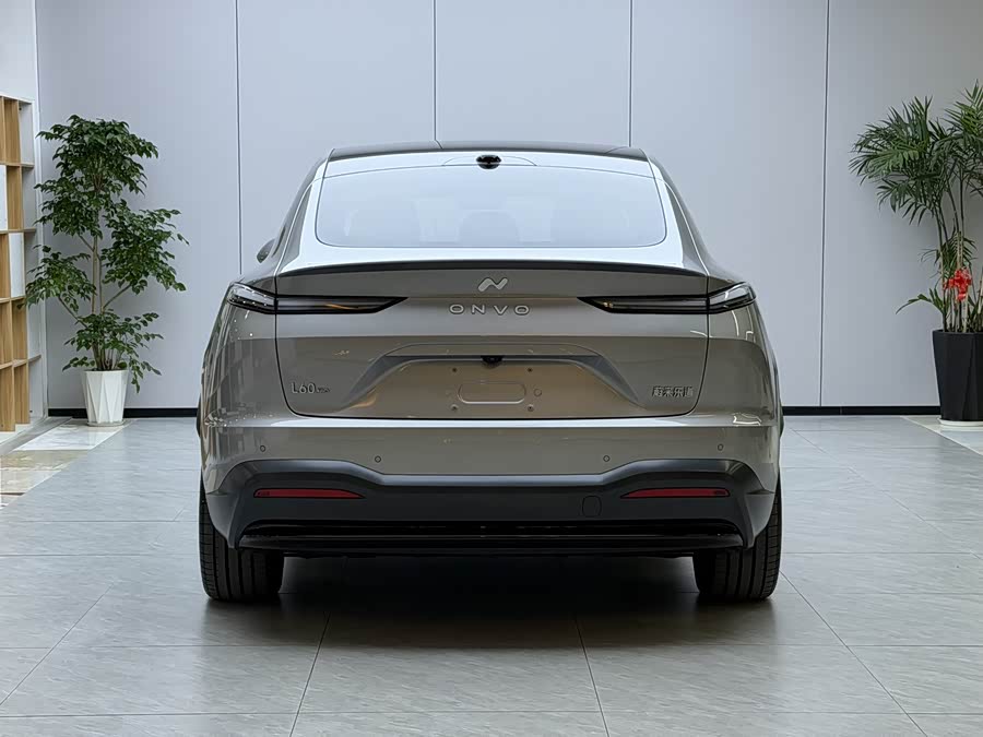 2024 image de voiture #16