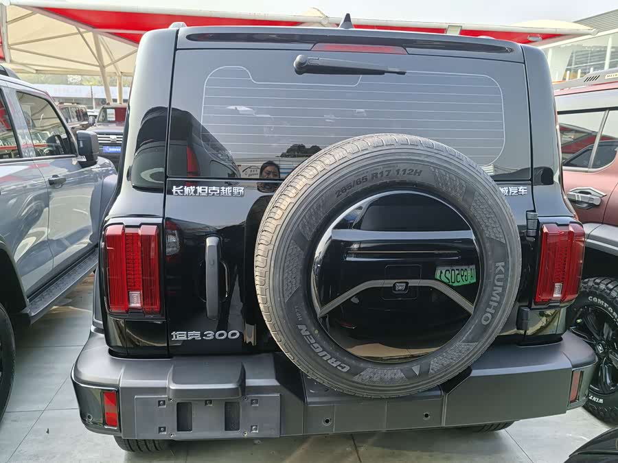 Tank 300 2023 #16 Tank 300 2023 صورة سيارة #16