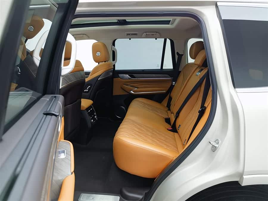 Tank 500 2022 car image #16