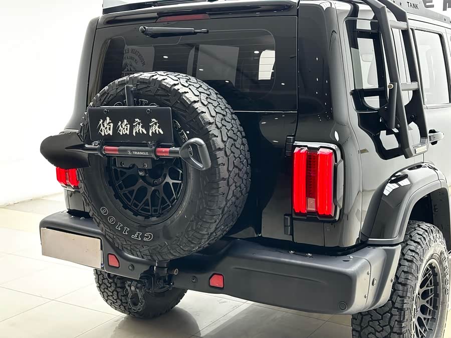 Tank 300 2022 imagem de carro #16