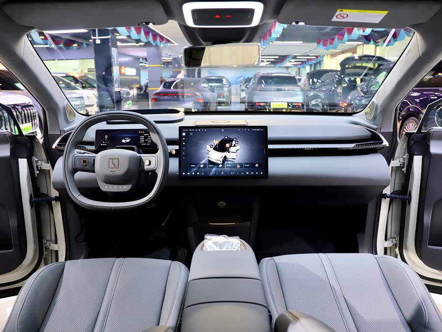 极氪 极氪X 2024 汽车图片 #16