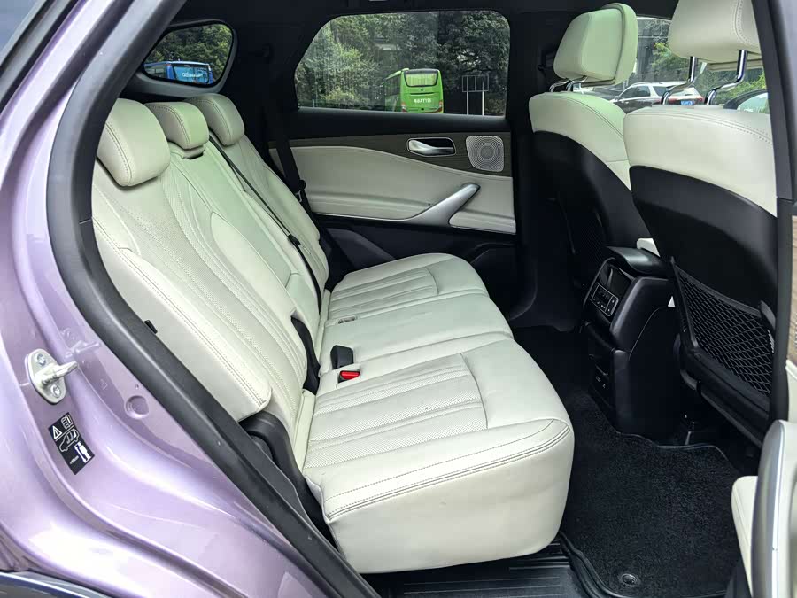 Denza X 2020 car image #16