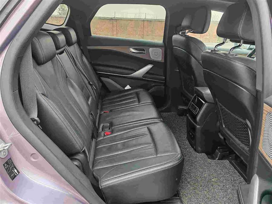 Denza X 2020 image de voiture #16