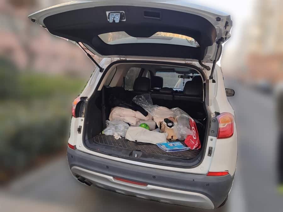 SWM X7 2018 #16 SWM X7 2018 car image #16