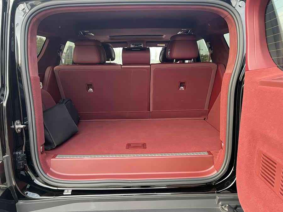 Tank 700 New Energy 2025 immagine di auto #16