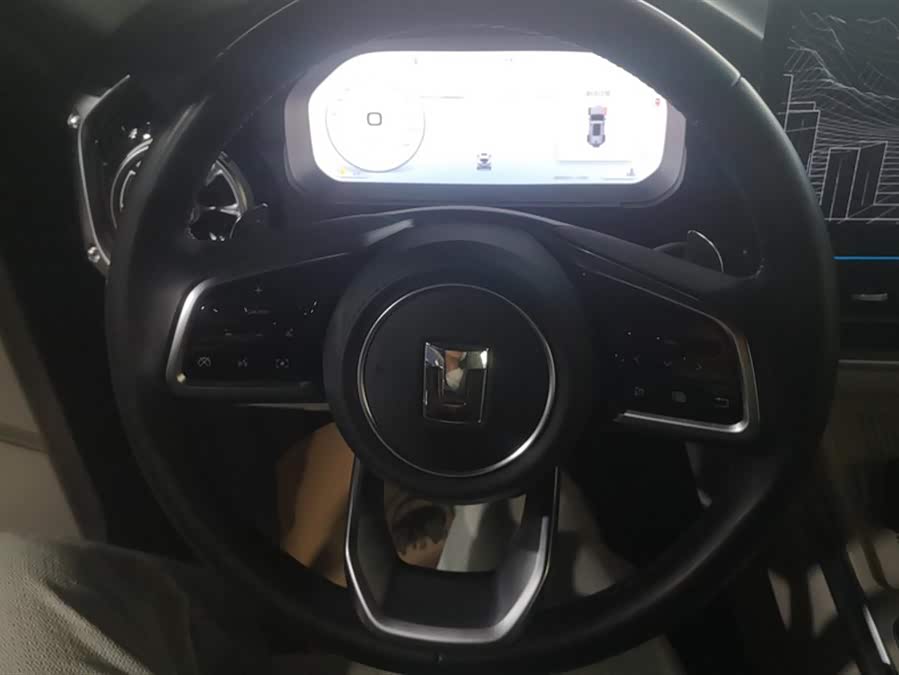 Tank 400 2025 car image #16