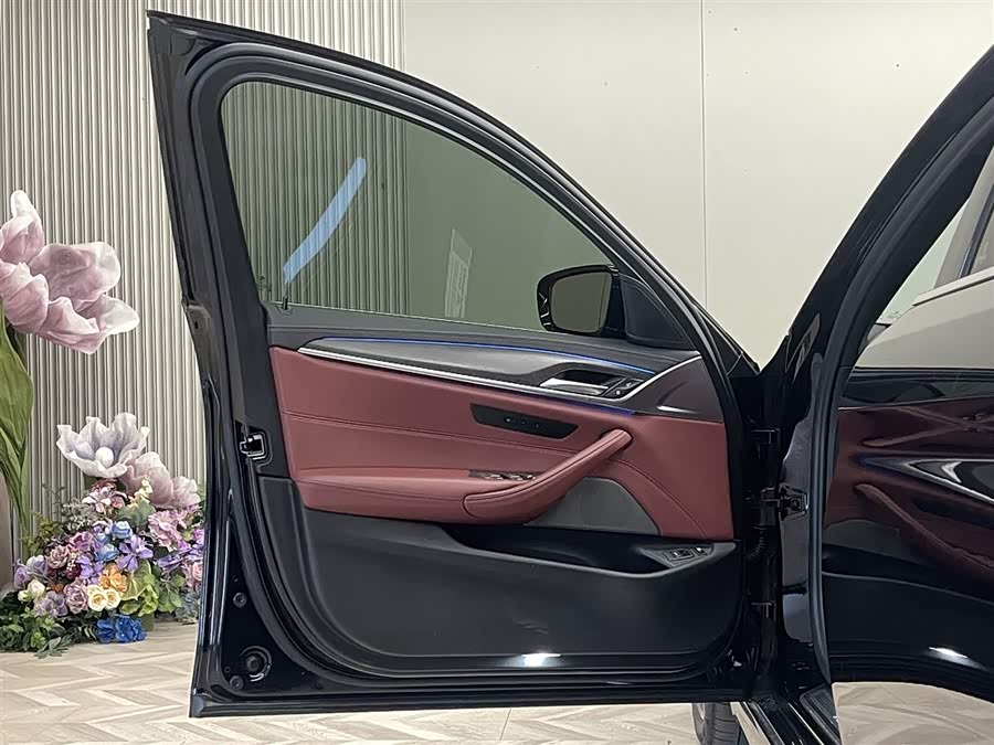 BMW 5 Series New Energy 2021 car image #16