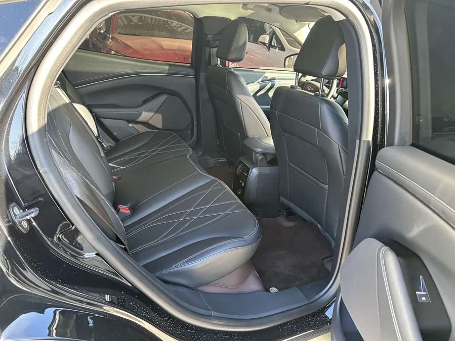 Ford Mustang Mach-E 2022 car image #16