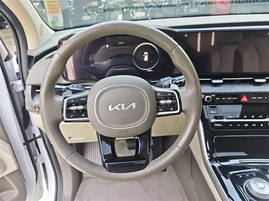 起亚 嘉华 2022 汽车图片 #16