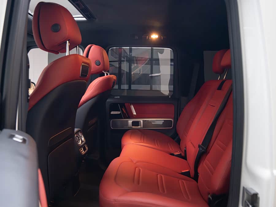 Mercedes-Benz G Class 2022 car image #16