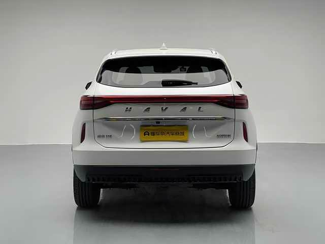 Haval H6 2021 car image #16