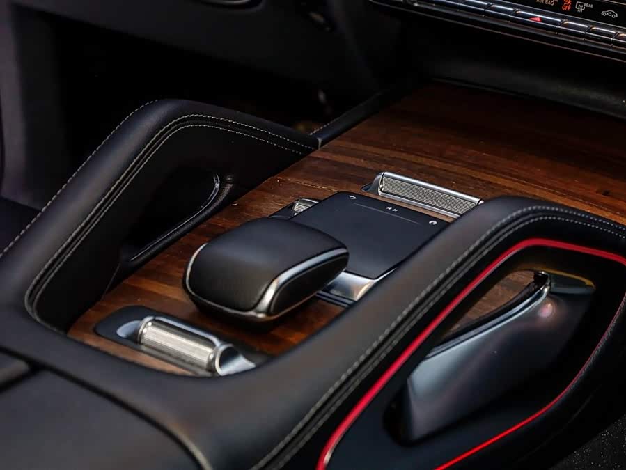 Mercedes-Benz GLE Class New Energy 2021 car image #16