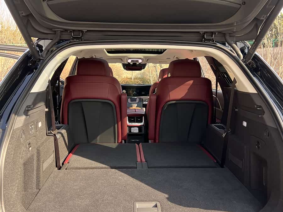 HongQi E-HS9 2023 صورة سيارة #16