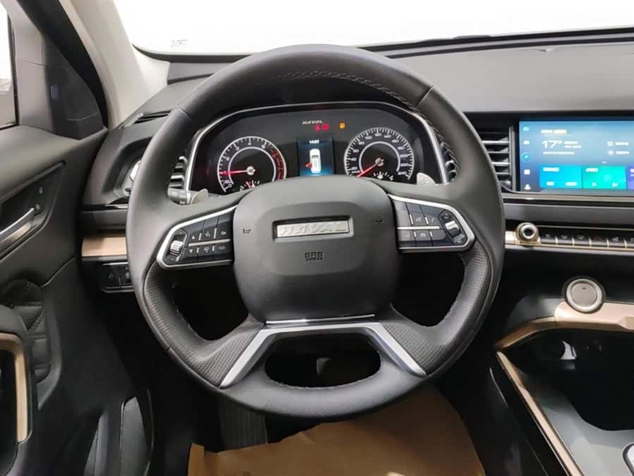 Haval H6 2021 car image #16