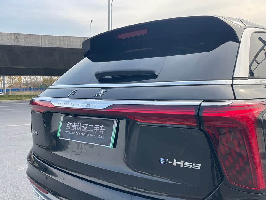 HongQi E-HS9 2023 изображение автомобиля #16