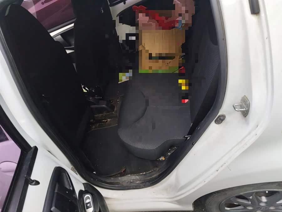 BYD e1 2019 car image #16