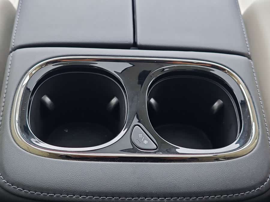 GAC Trumpchi E9 2023 #16 GAC Trumpchi E9 2023 изображение автомобиля #16