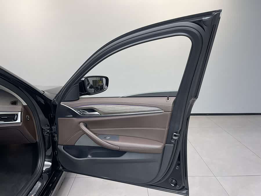 BMW 5 Series New Energy 2021 car image #16