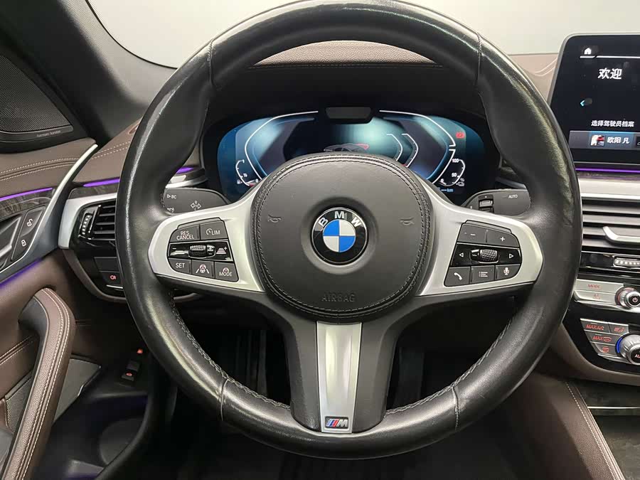 BMW 5 Series New Energy 2021 car image #16