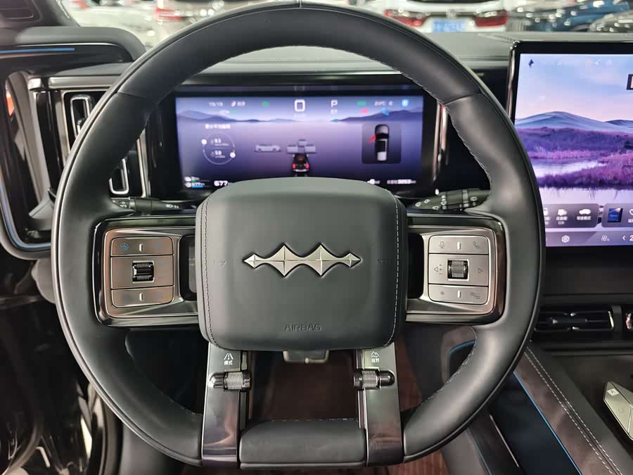 FangChengBao Leopard 5 2024 car image #16