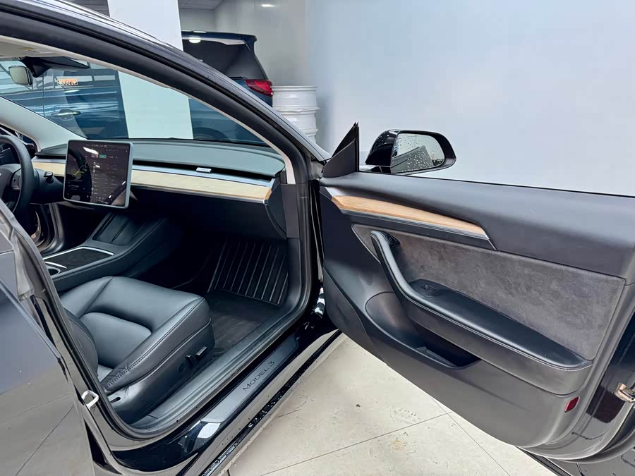 Tesla Model 3 2021 car image #16