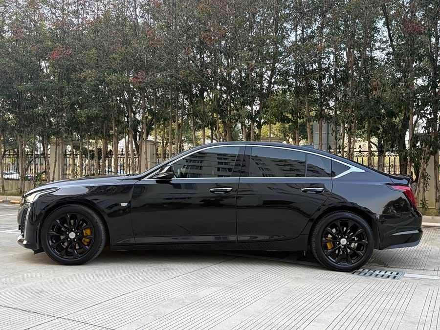 2020 #16 2020 car image #16