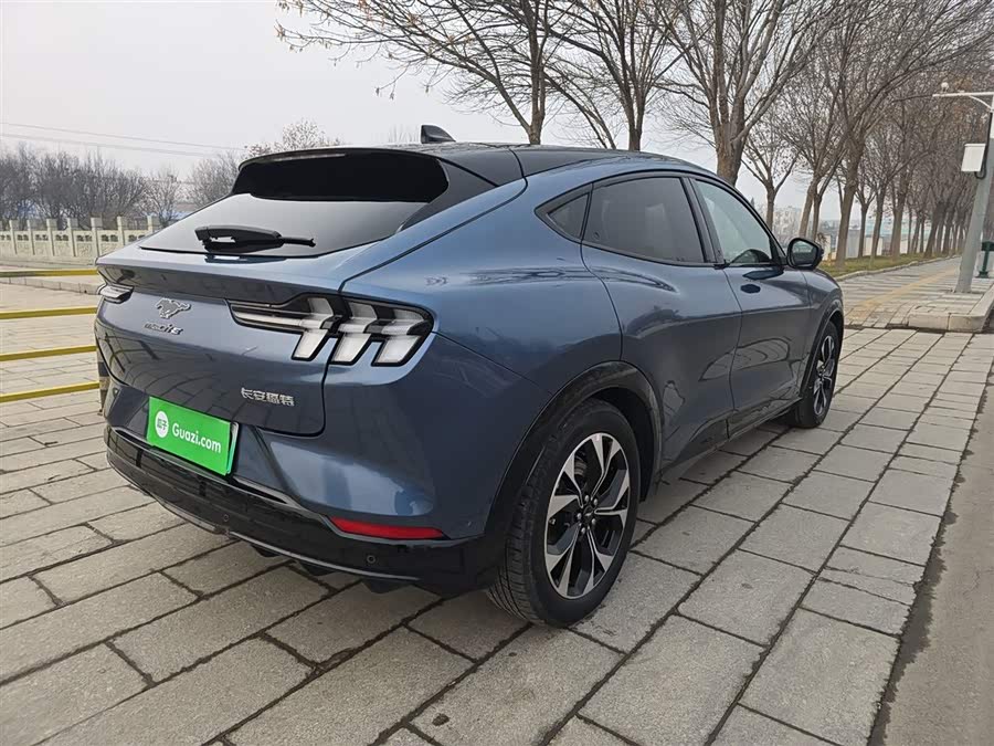 Ford Mustang Mach-E 2022 #16 Ford Mustang Mach-E 2022 car image #16