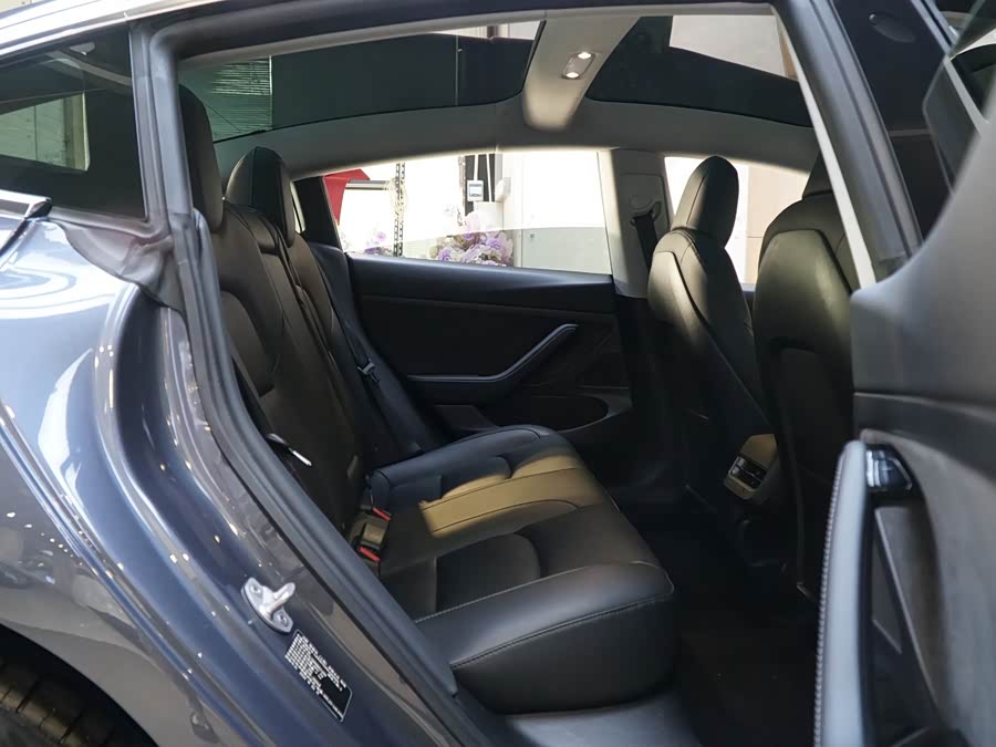Tesla Model 3 2020 car image #16