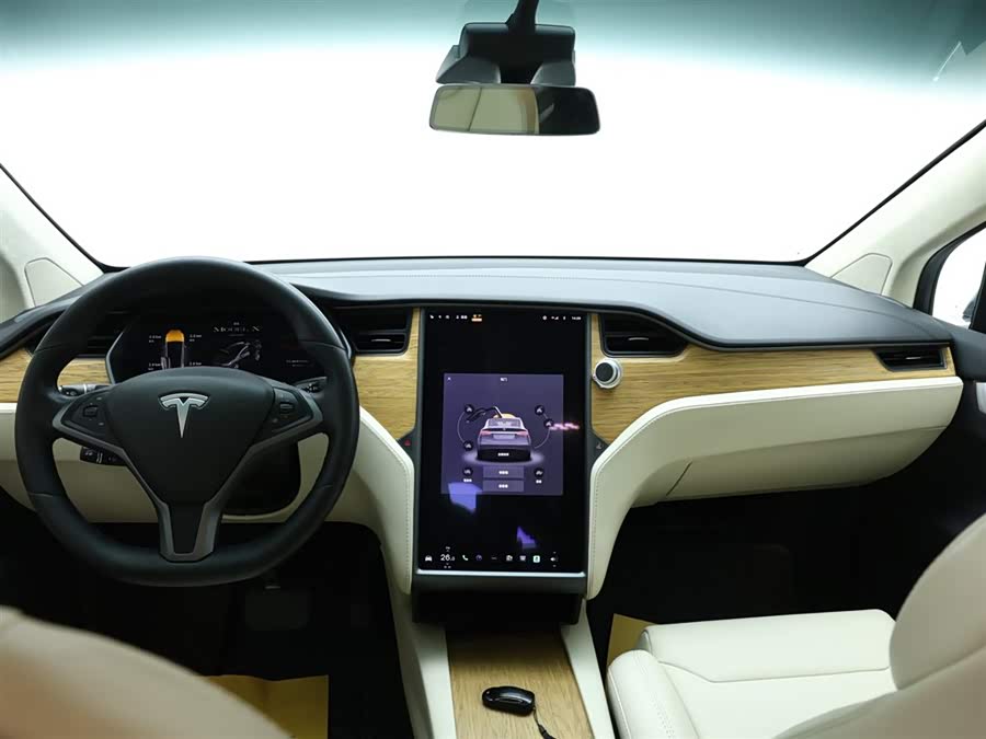 Tesla Model X 2019 immagine di auto #16