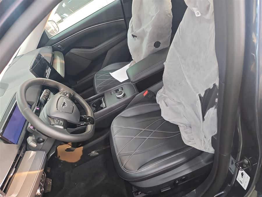 Ford Mustang Mach-E 2023 #16 Ford Mustang Mach-E 2023 car image #16