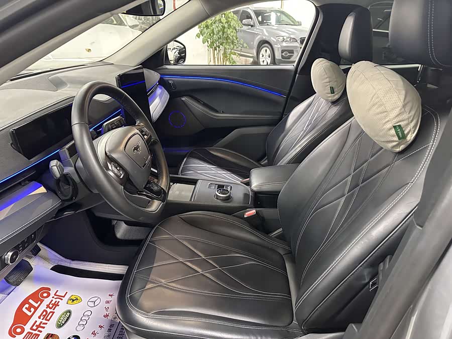 Ford Mustang Mach-E 2022 car image #16