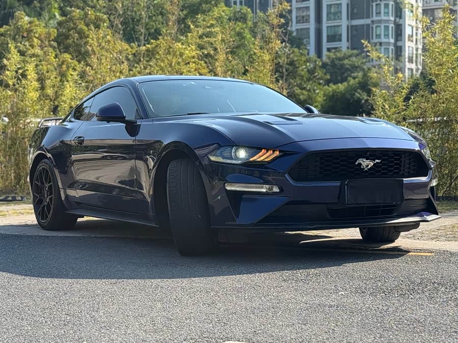 Ford Mustang 2020 immagine di auto #16