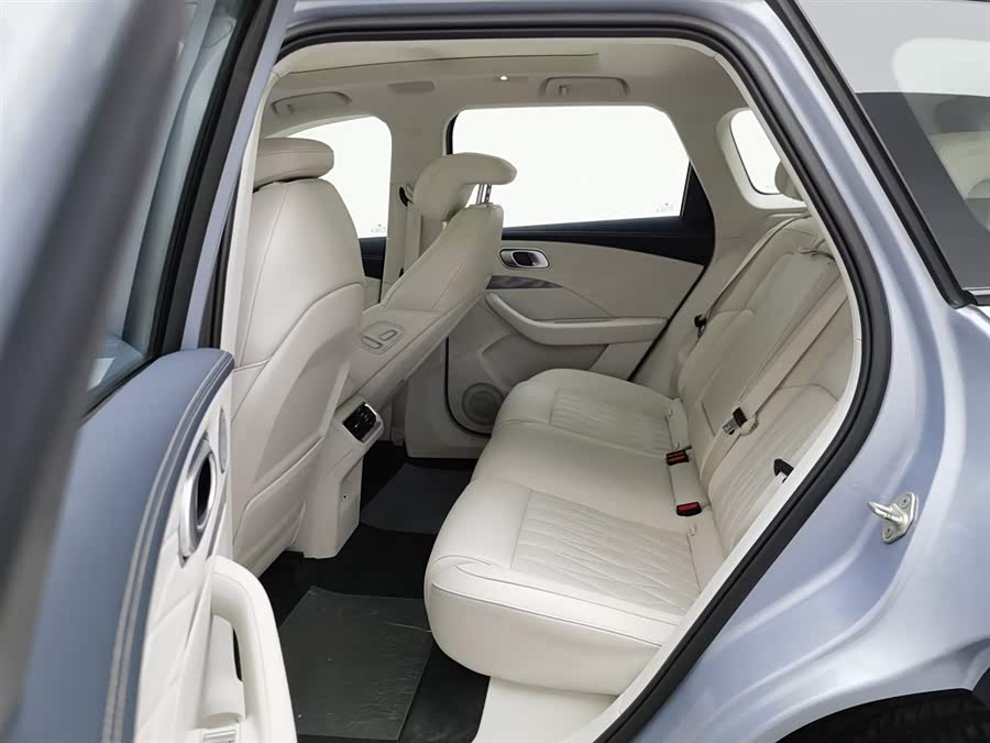 Neta L 2024 imagen de coche #16