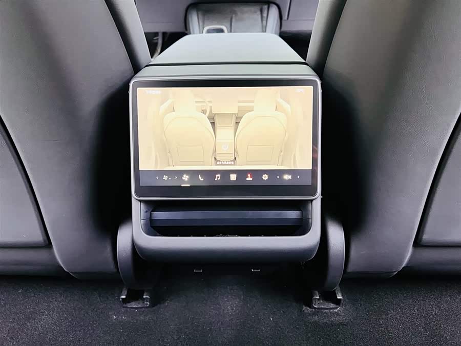 Tesla Model 3 2024 car image #16