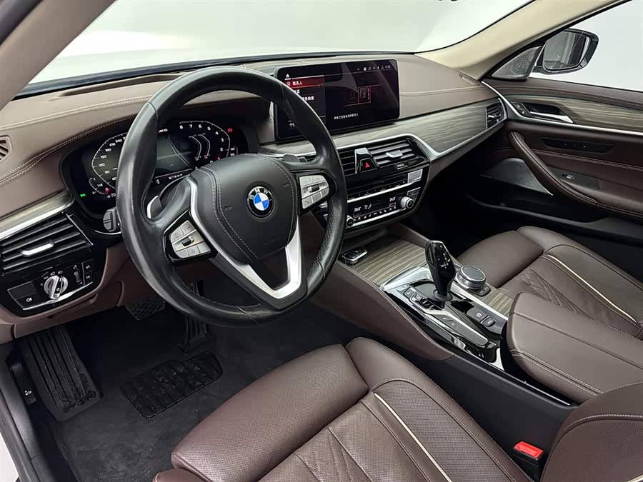 BMW 5 Series 2020 car image #16