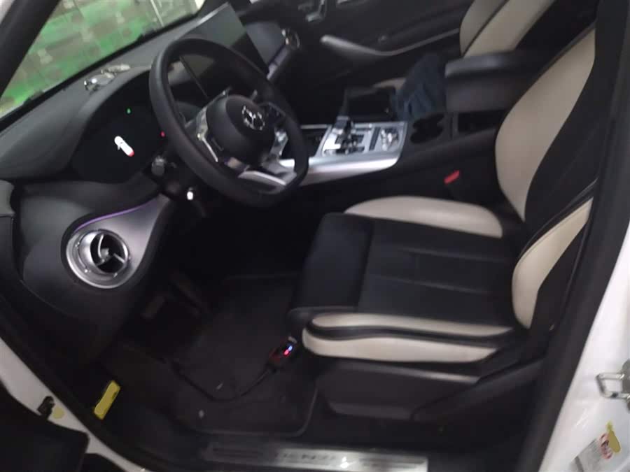 Denza X 2020 car image #16