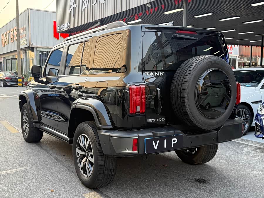 Tank 300 2022 #16 Tank 300 2022 car image #16