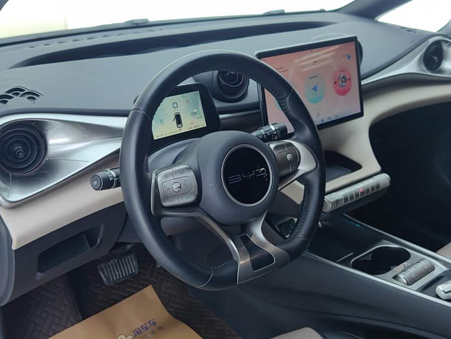 BYD Dolphin 2023 imagem de carro #16