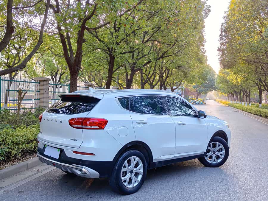 Haval H6 2020 car image #16