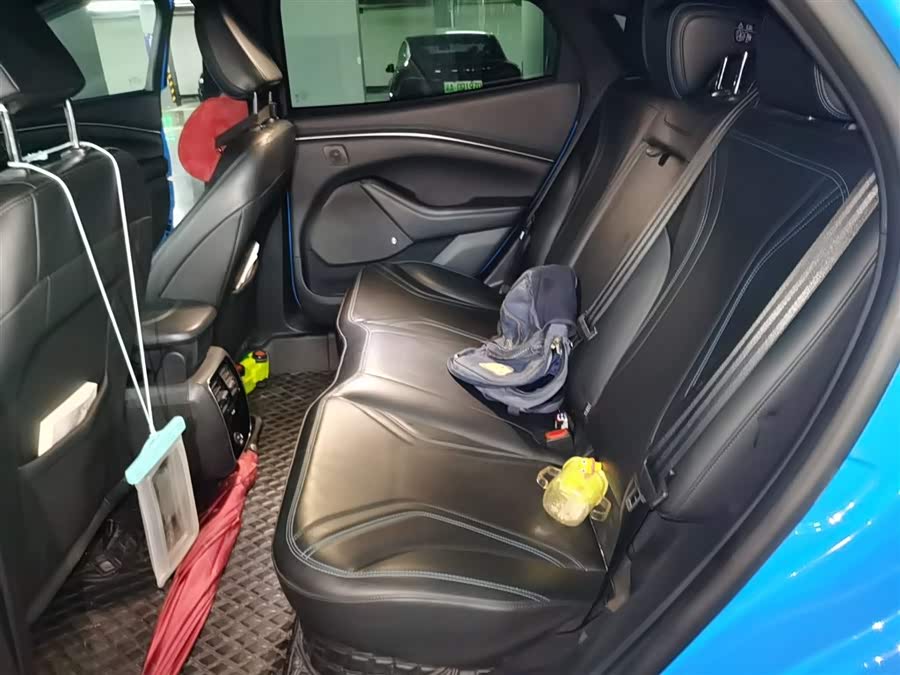 Ford Mustang Mach-E 2022 #16 Ford Mustang Mach-E 2022 car image #16