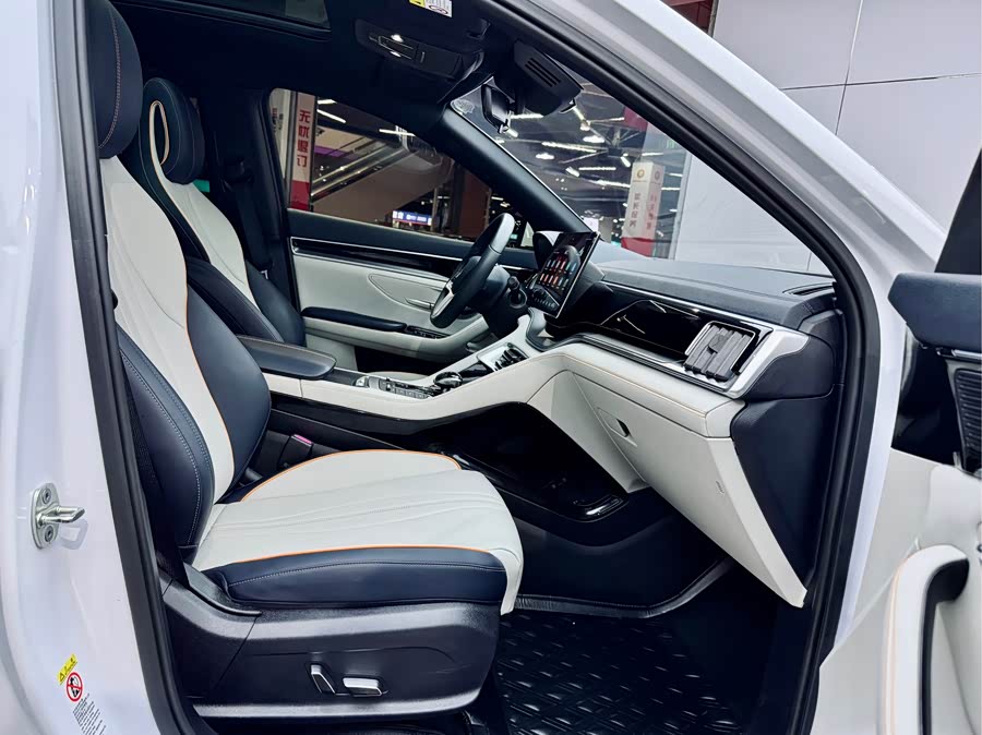 BYD Song Plus New Energy 2022 car image #16