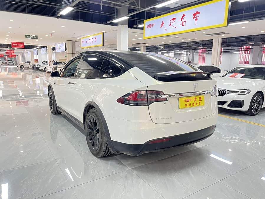 Tesla Model X 2018 car image #16