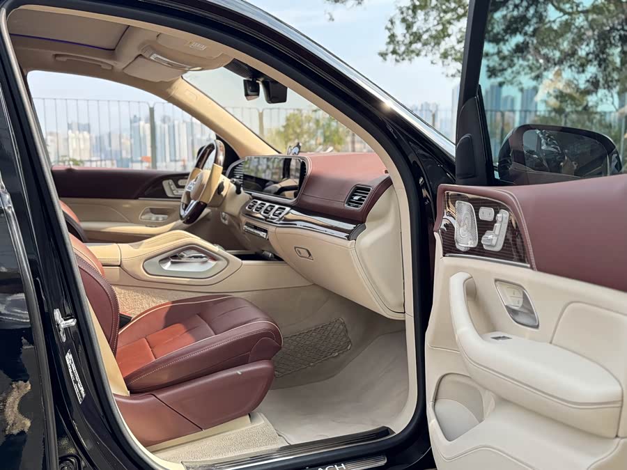 Mercedes-Benz Maybach GLS 2021 car image #16